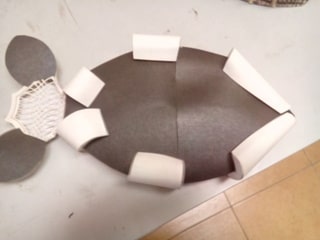 Conceptual Model