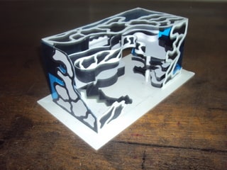 Conceptual Model