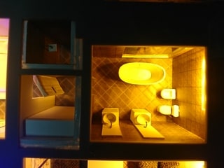 Illuminated Model
