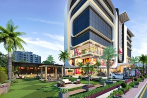 Commercial Renders
